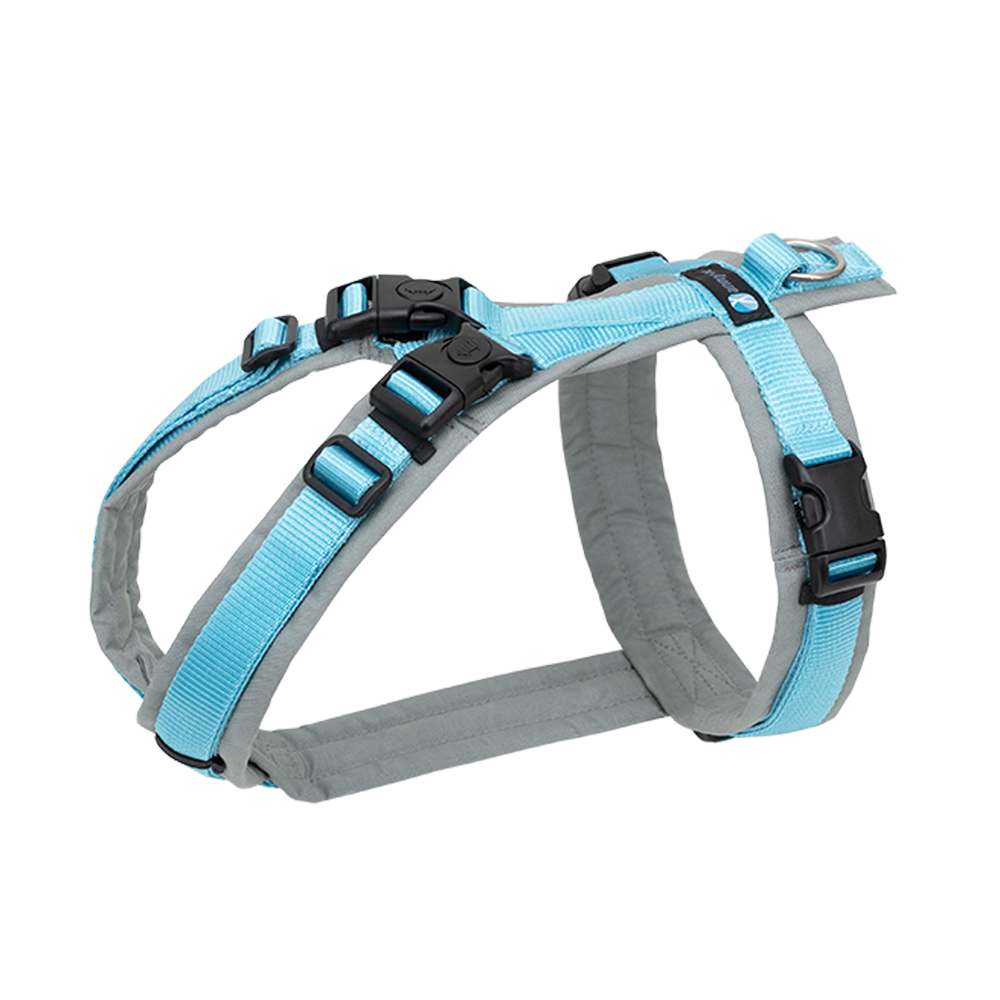 Anny-X Brustgeschirr Open Fun | Hundegeschirr für sensible Hunde | Farbe Grau-Eisblau | Gr. S (Brustumfang 52-64cm)