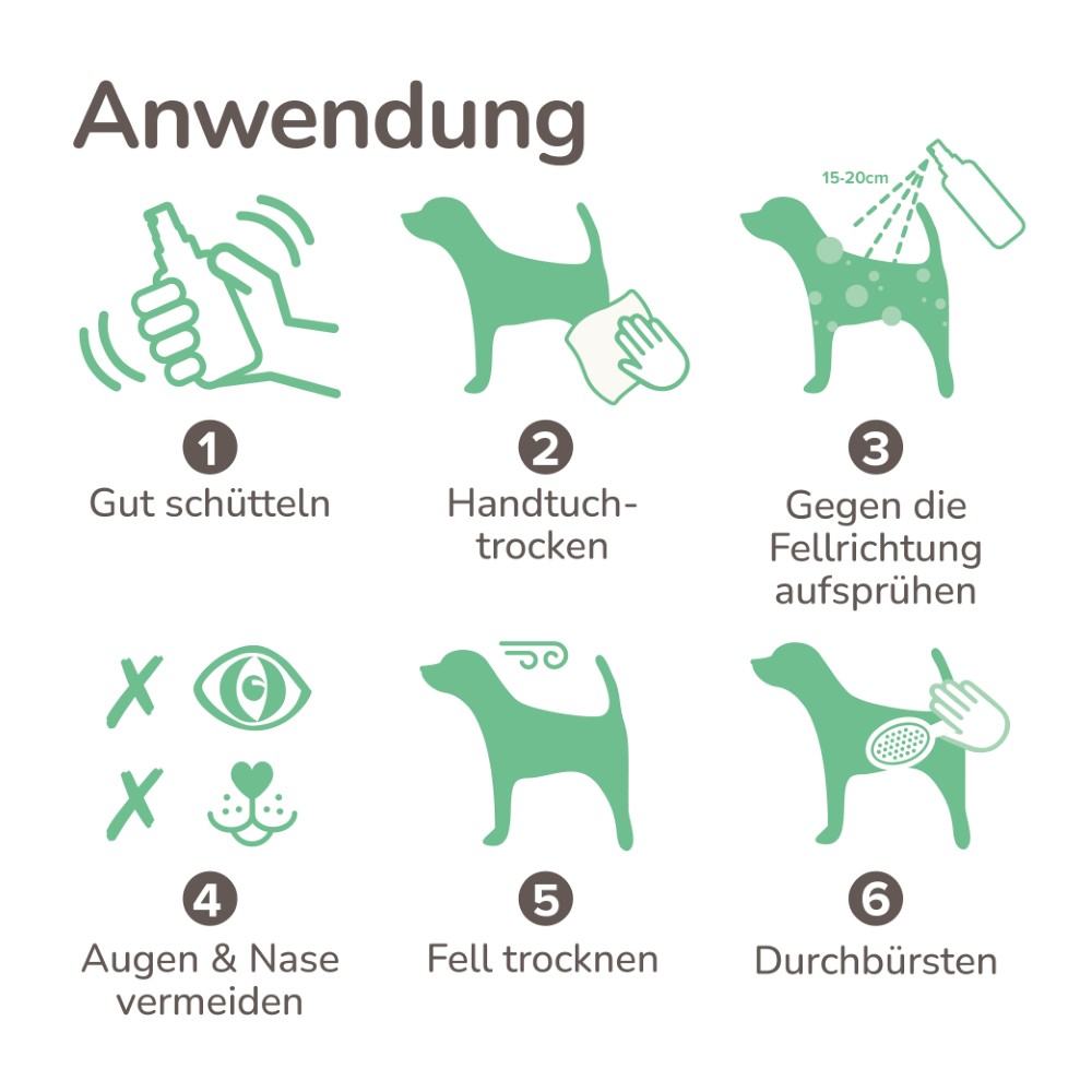 Beaphar Nasser Hund Spray | Fellpflege und Geruchsneutralisier für Hunde | Zerstäuber 250 ml