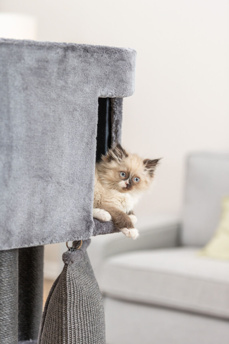 Trixie Kratzbaum Active | Katzenkratzbaum mit Höhle, Klettersack & Rampe | Farbe Grau | Maße 96x38x122 cm