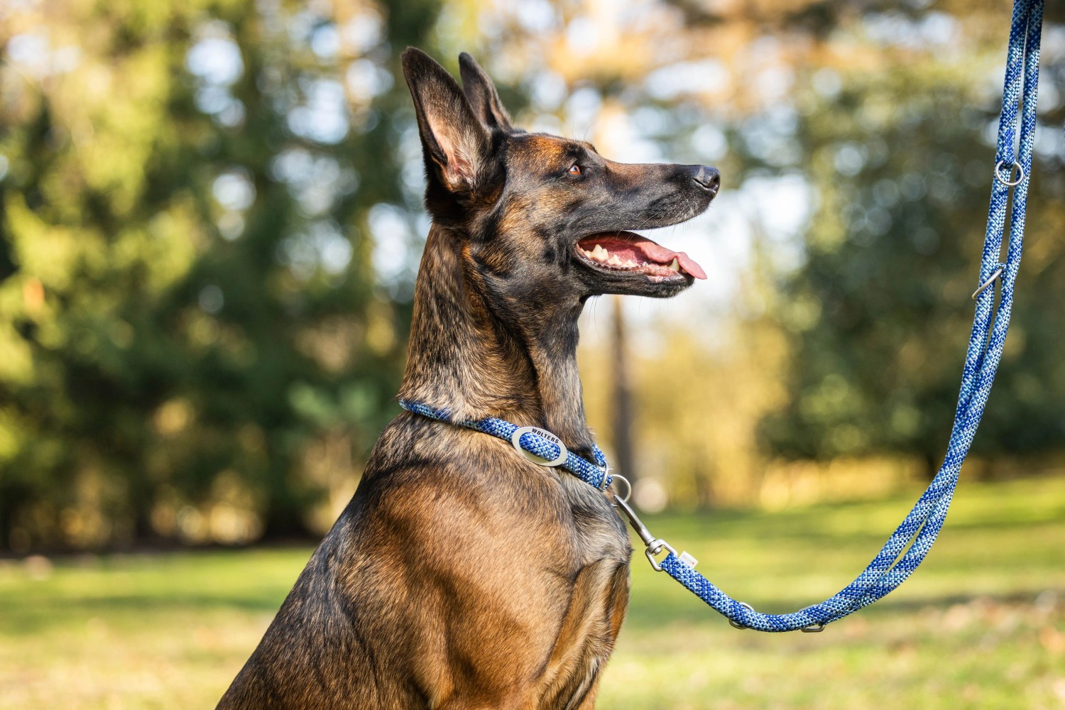 Wolters Everest-Tauprogramm Schlupfhalsband Rotorange-Orange | Hundehalsband mit Reflektor Streifen | Gr. 30