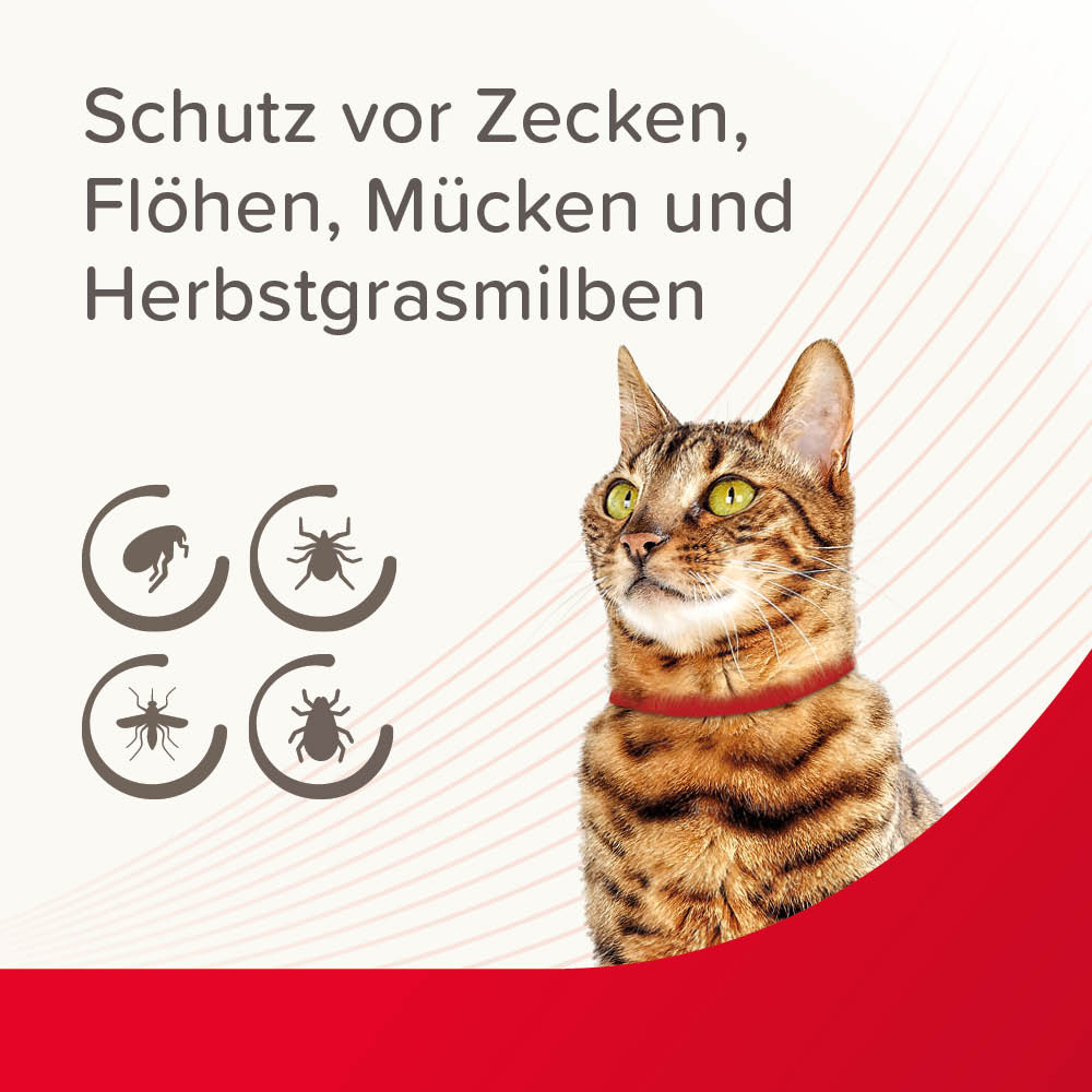 Beaphar VETOplus Parasiten Halsband 35 cm, Rot | Repellent bis zu 4 Monate lang Schutz vor Ektoparasiten | für alle Katzen