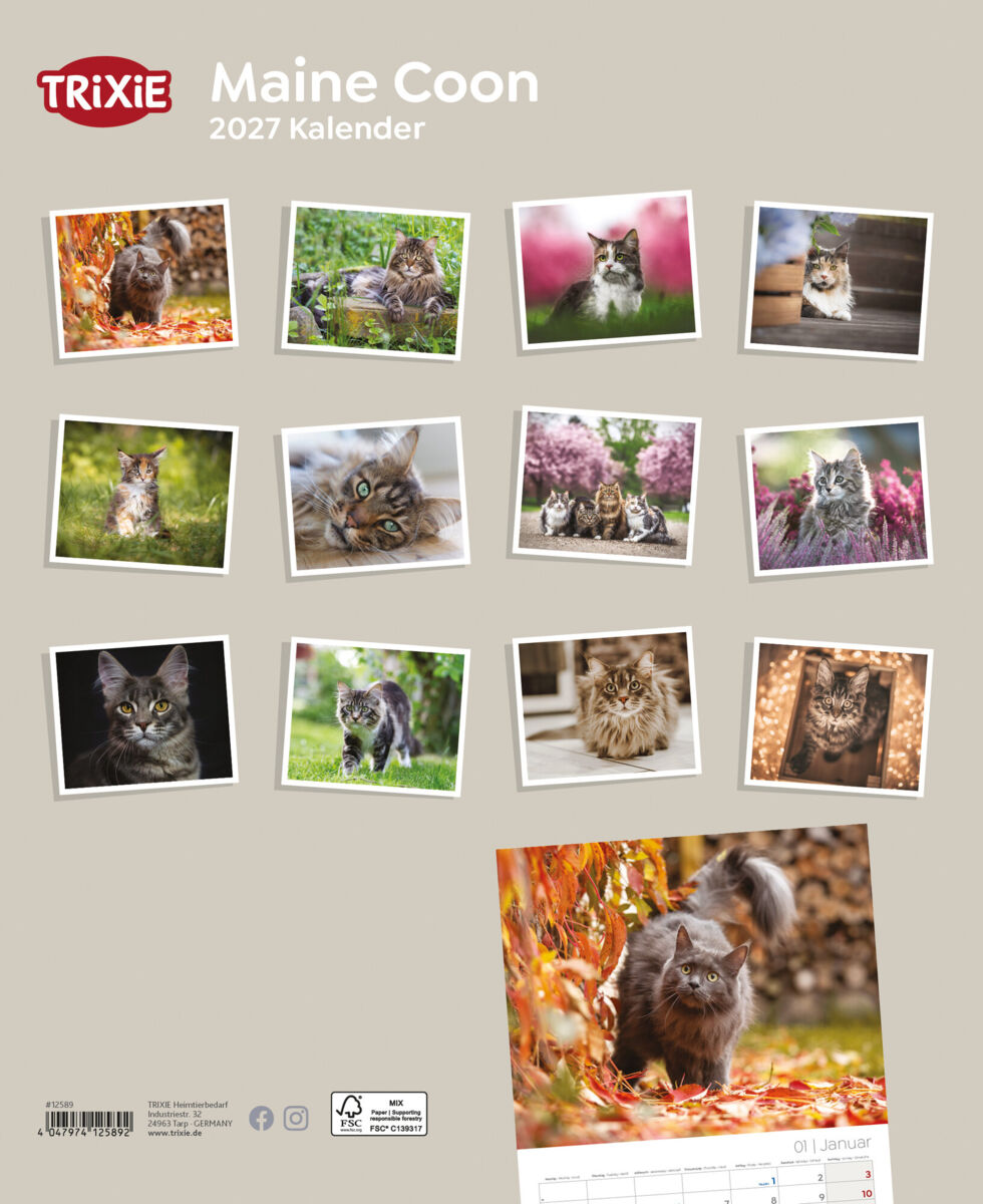 Trixie Motivkalender 2027 | Jahreskalender mit verschiedenen Motive und Themen | Kalender Maine Coon Katzen