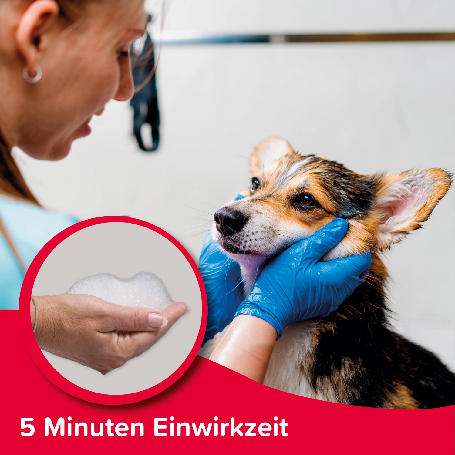 Beaphar Flohschutz-Shampoo | Soforthilfe gegen Flöhe für Hunde und Katzen | Flasche 250 ml