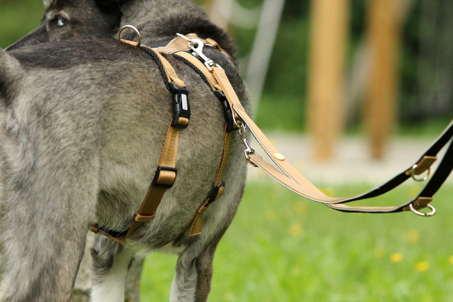 StyleSnout® Patch&Safe Brustgeschirr Gold | Sicherheits-/No-Escape-Geschirr | Gr. XXS (Bruststeglänge 21 cm) - 3,5 bis 5,5 kg