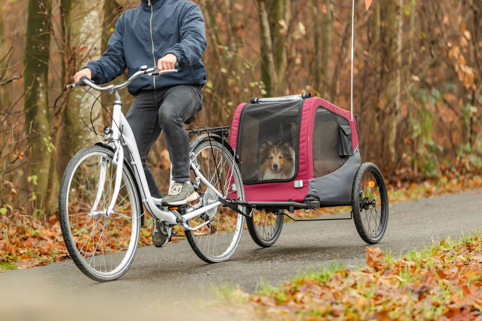 Trixie Fahrrad-Anhänger für Hunde Grau-Rot | Zusammenklappbar inklusive Anhängerkupplung | Größe M - Model 12781