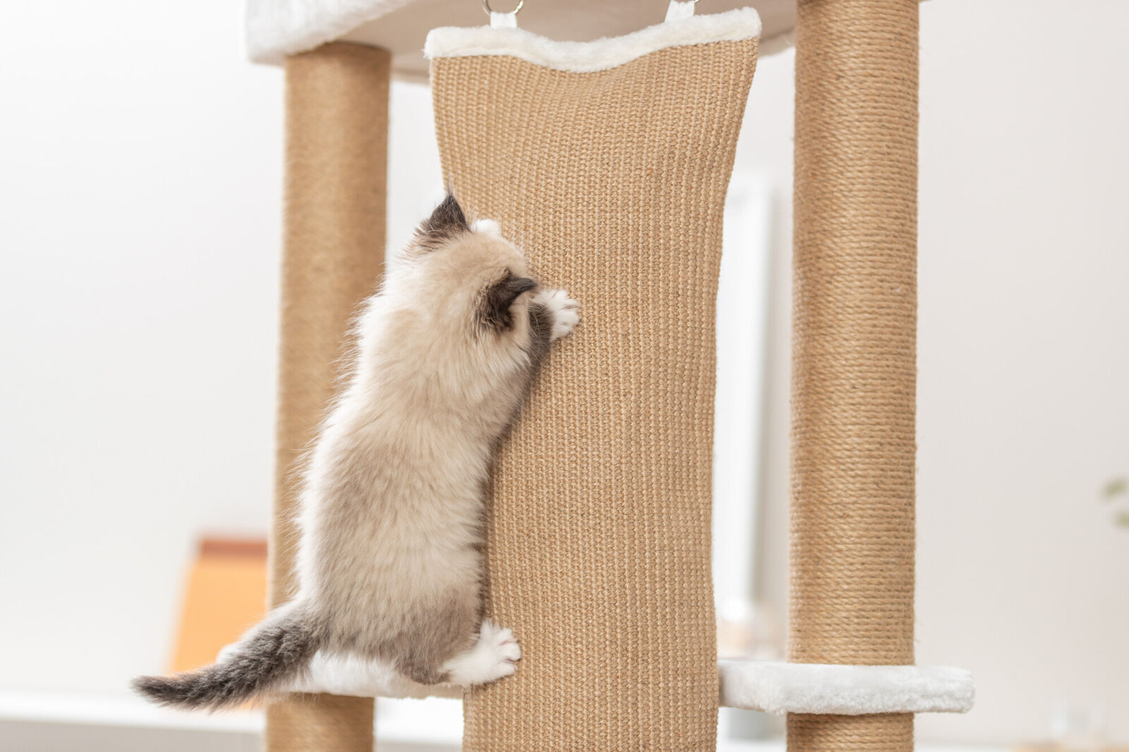 Trixie Kratzbaum Active | Großer Spiel- und Ruheplatz für Ihre Katze | Farbe Beige | Maße 58x58x150 cm