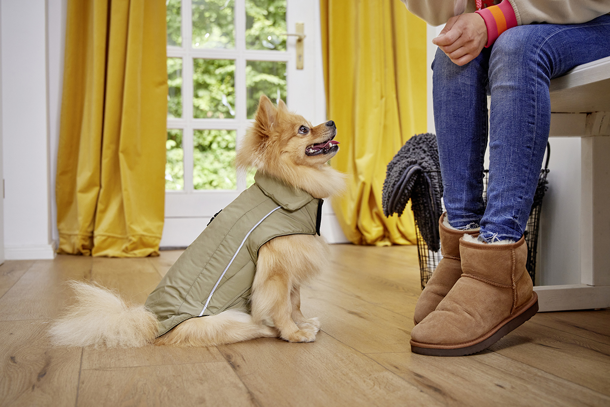 Wolters Wolters Skijacke Dogz-Wear | Wintermantel für Hunde | Farbe Khakigrün | Größe 28 (Rückenlänge 27 - 29 cm)