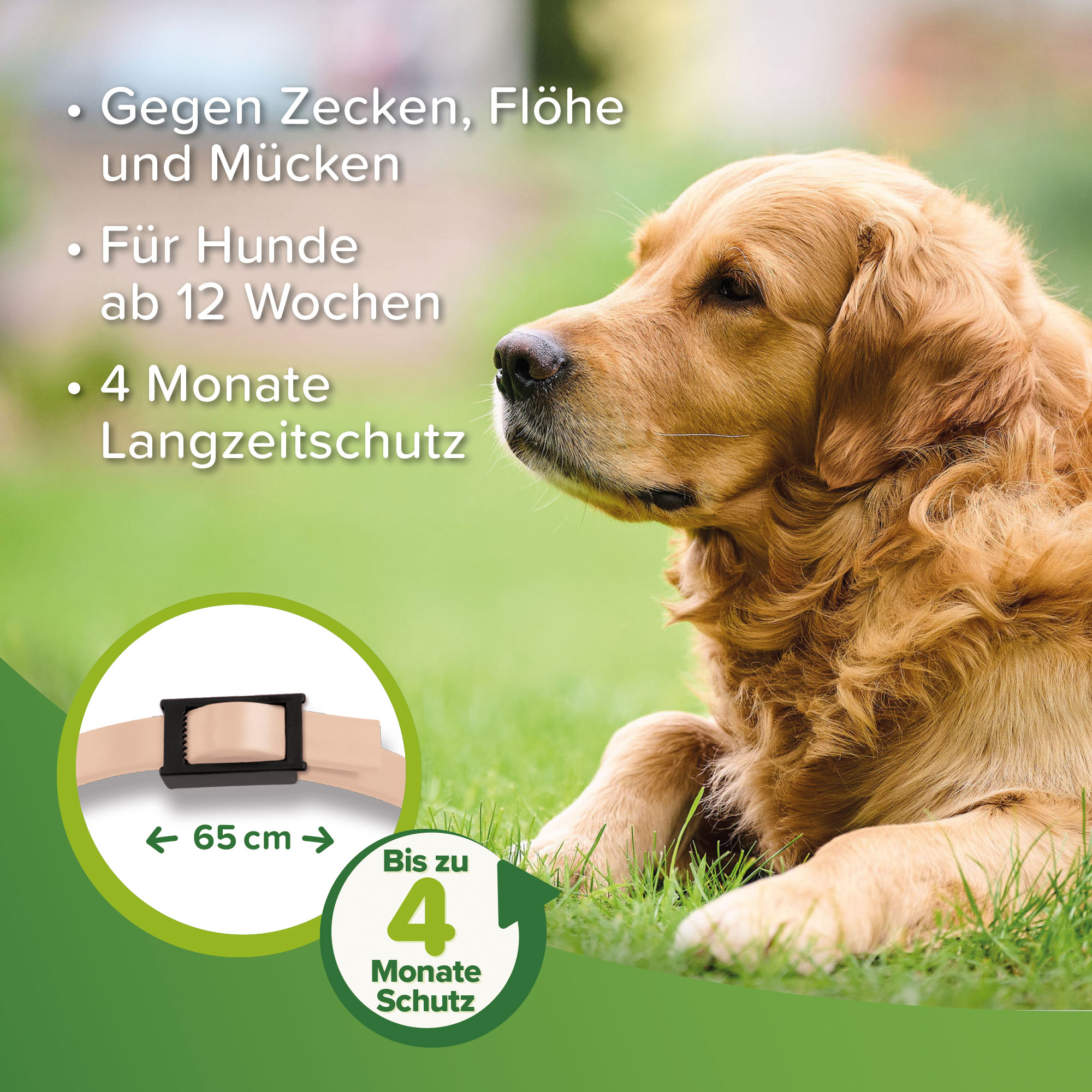 Beaphar Zecken- und Flohschutz Halsband | Länge 65 cm | Farbe Beige