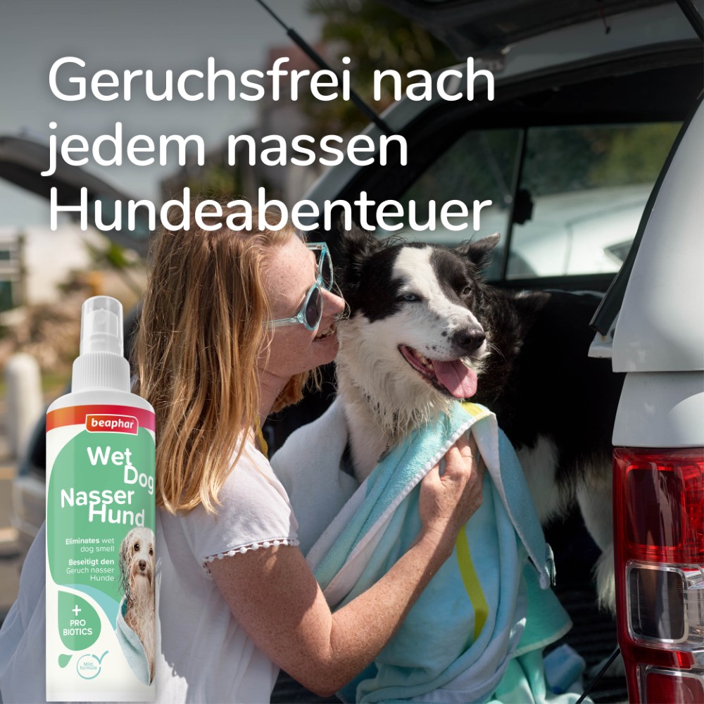 Beaphar Nasser Hund Spray | Fellpflege und Geruchsneutralisier für Hunde | Zerstäuber 250 ml