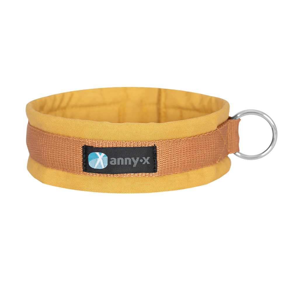 Anny·X Steckhalsband Fun Goldglöckchen | Gepolstertes Hundehalsband | Größe 2 (27-33 cm)