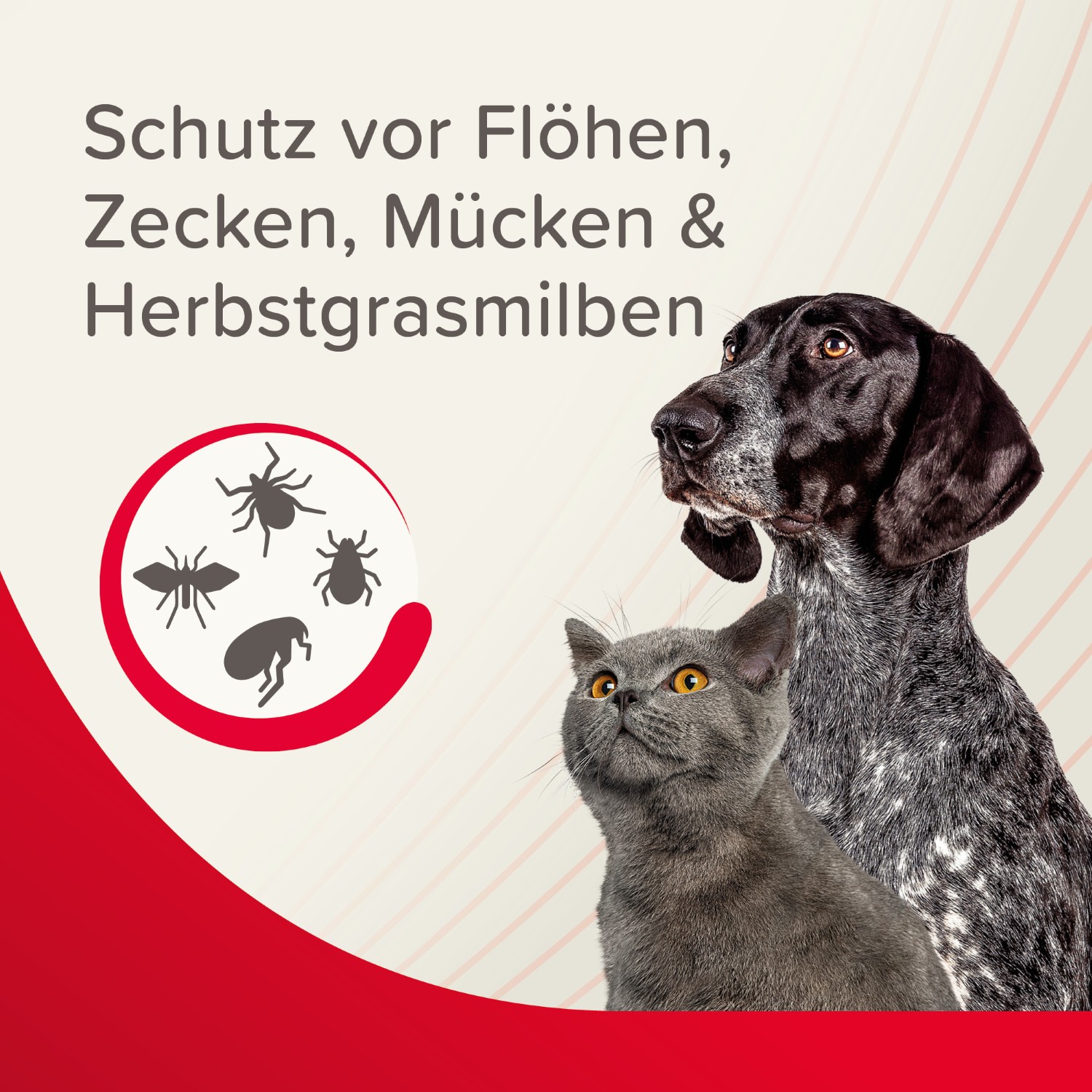 Beaphar VETOplus Zecken- und Flohschutz Spray | Repellent gegen Parasiten in der Heimtierumgebung | Zerstäuber 250 ml