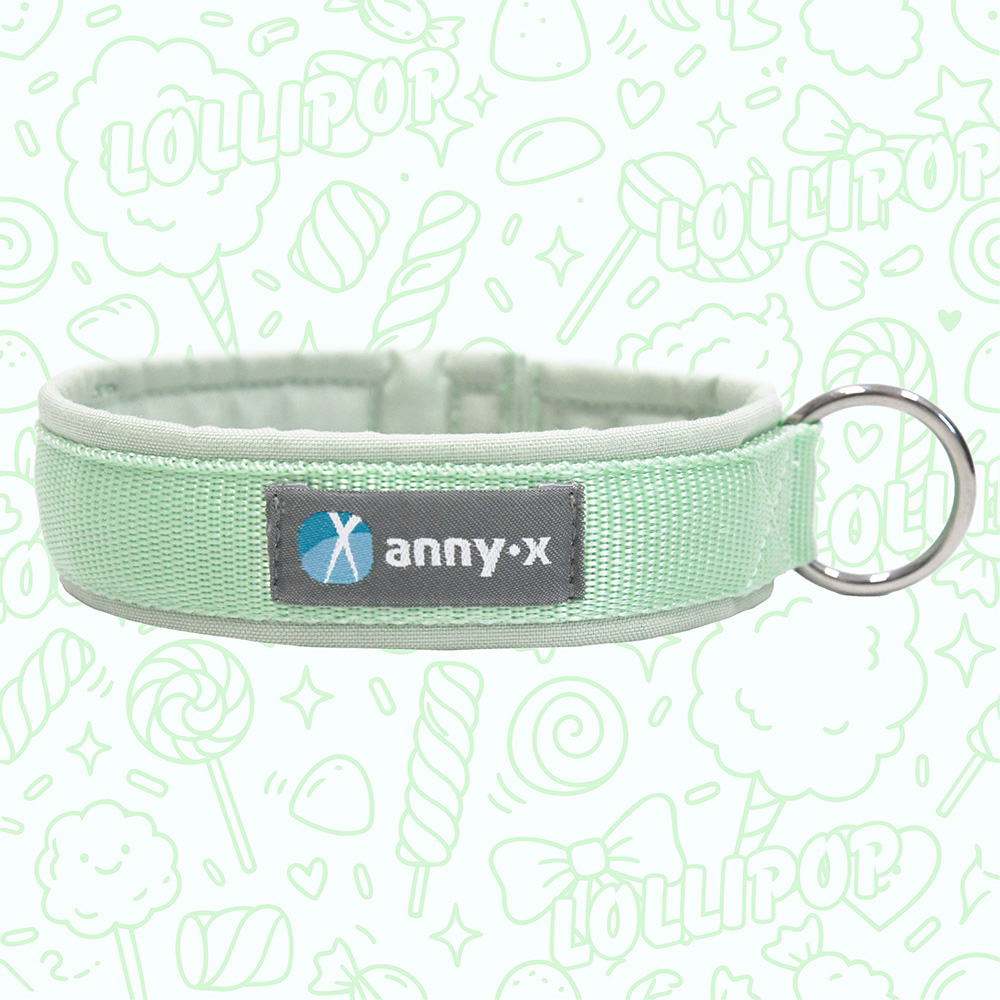 Anny·X Steckhalsband Fun Lollipop | Gepolstertes Hundehalsband | Größe 2 (27-33 cm)