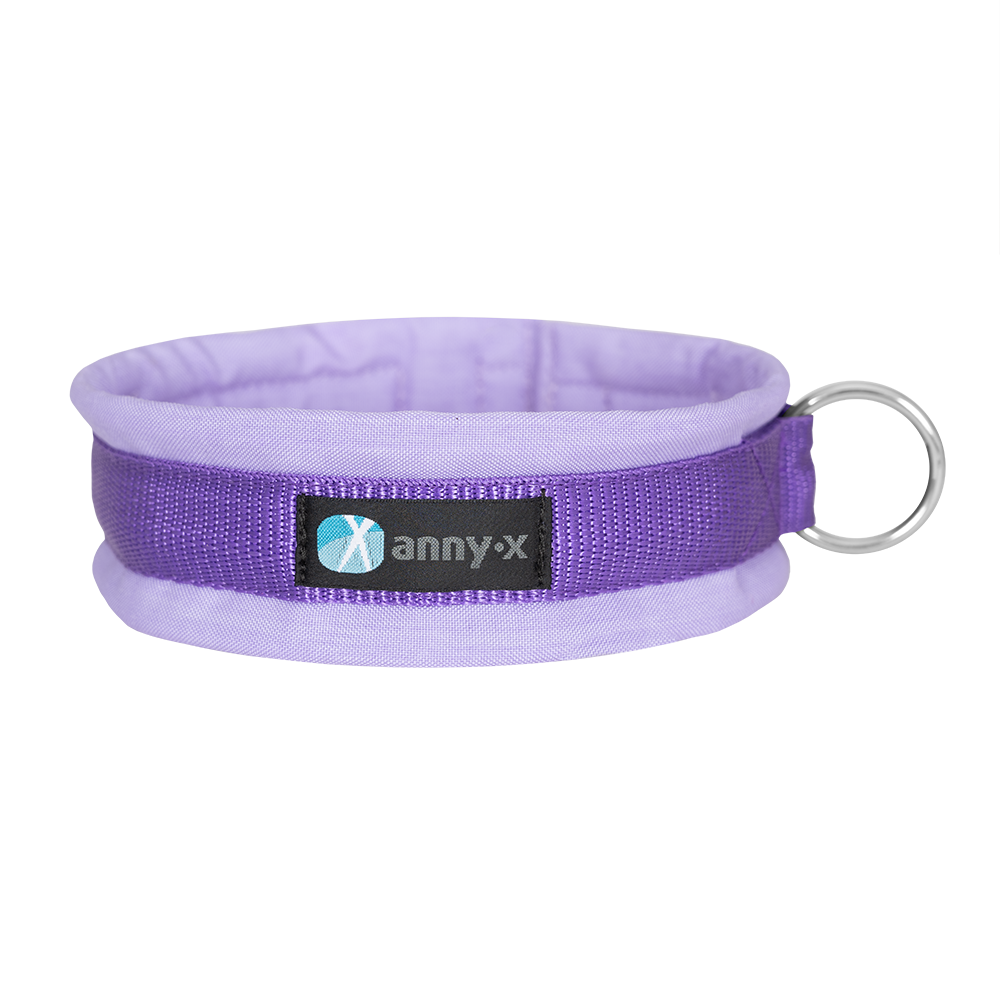 Anny·X Steckhalsband Fun Lavendel | Gepolstertes Hundehalsband | Größe 2 (27-33 cm)