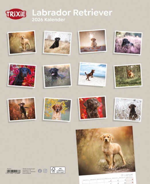 Trixie Motivkalender 2026 | Jahreskalender mit verschiedenen Motive und Themen | Kalender Labrador Retriever
