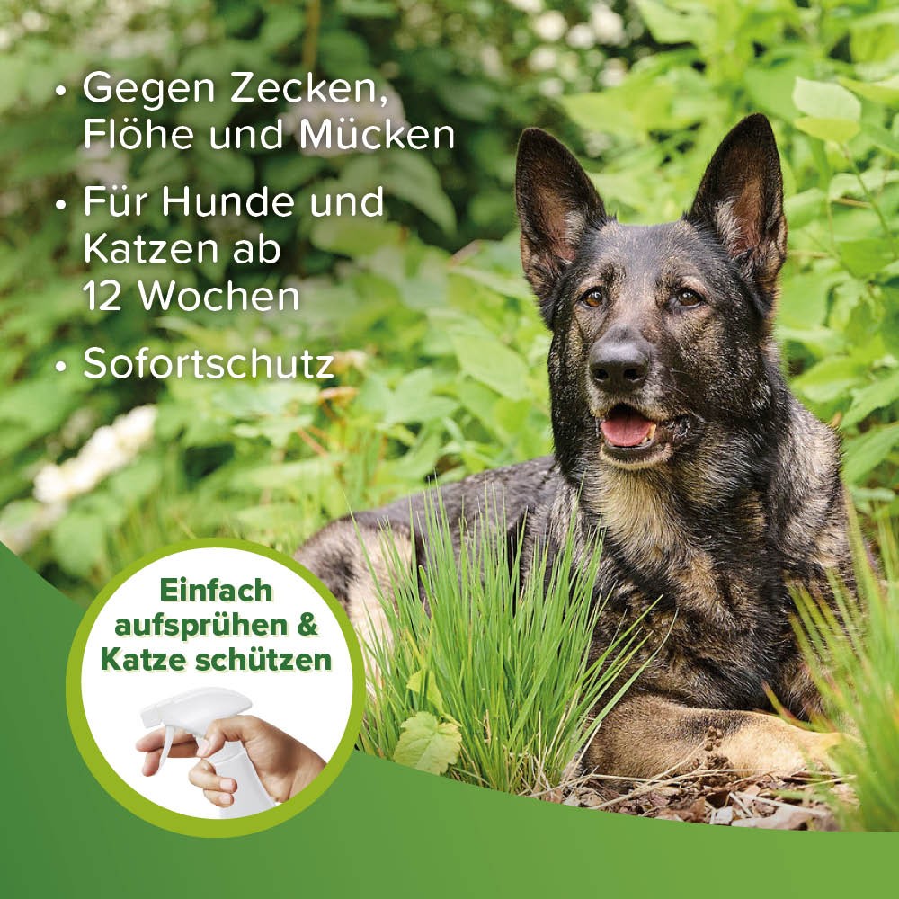 Beaphar Zecken- und Flohschutz Spray | Repellent gegen Parasiten in der Heimtierumgebung | Zerstäuber 500 ml