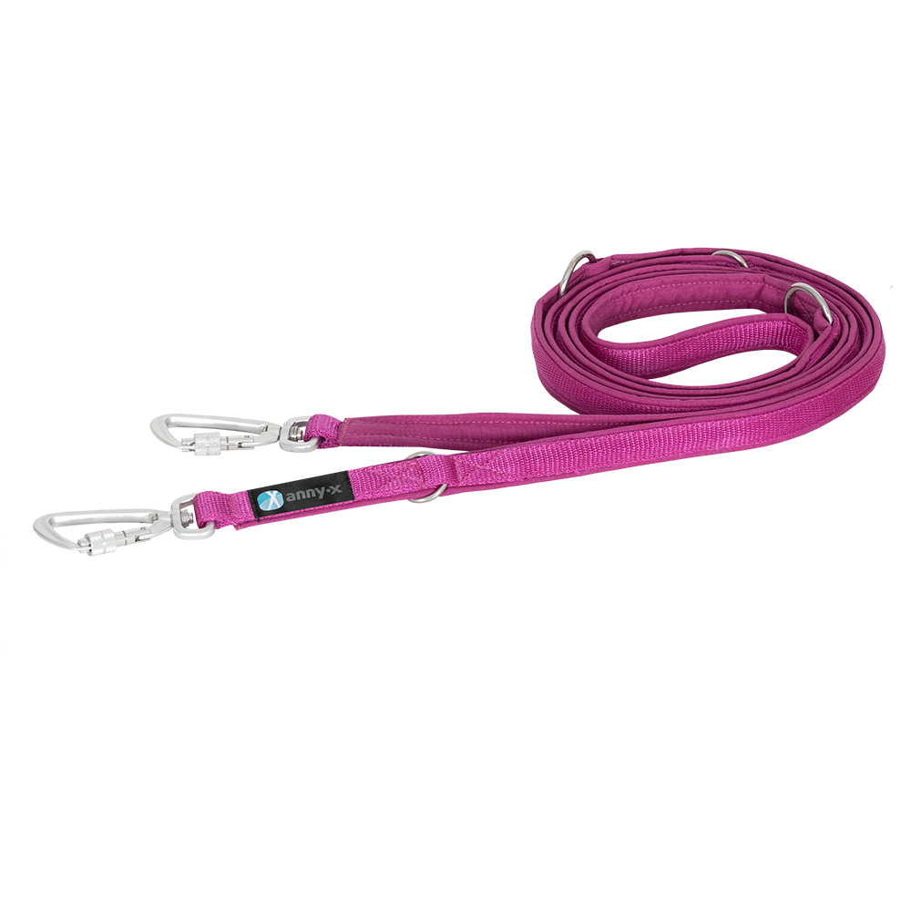 Anny·X Führleine Safety Fun | 4 fach verstellbare Hundeleine gepolstert | Länge 3 m - Farbe Sonnenhut