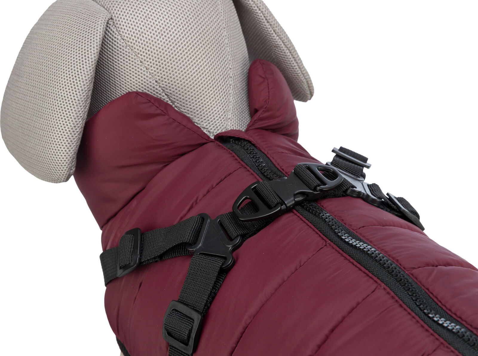 Trixie Wintermantel Pirou | Geschirr-Wintermantel für Hunde – warm, wasserdicht | Farbe Sangria | Gr. XS 24 cm