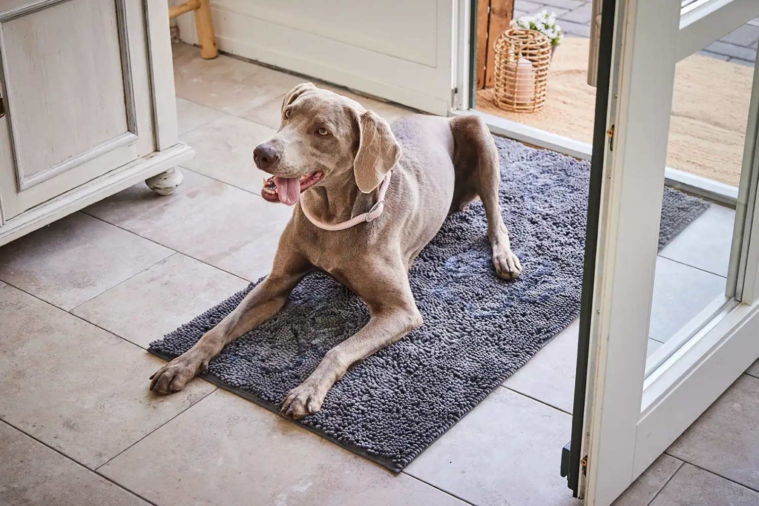 WOLTERS Cleankeeper Doormat | Einzigartige Schmutzschleuse für Hunde | Farbe Hellgrau - Grösse S (58 x 40 cm)