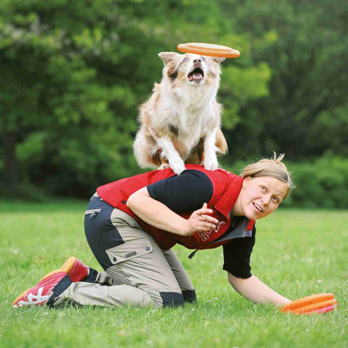 Trixie Dog Disc, Kunststoff Frisbee für Hunde | Frisbee-Spaß für Hund und Halter | Orange Ø 19 cm
