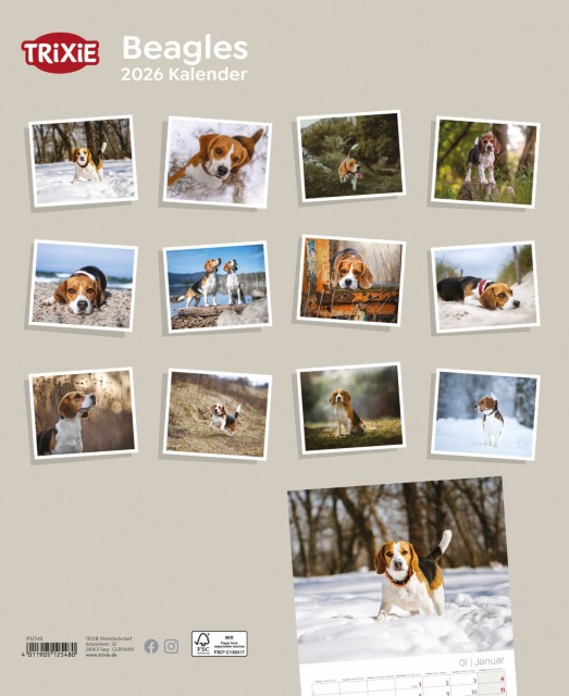 Trixie Motivkalender 2026 | Jahreskalender mit verschiedenen Motive und Themen |  Kalender Beagle