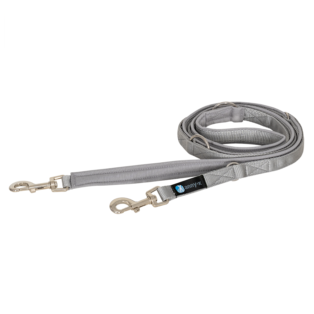 Anny·X Führleine Bolt Fun Grau-Silber| gepolsterte Hundeleine, verstellbare Leine mit Bolzenkarabiner | Größe Classic 3 m x 2,5 cm