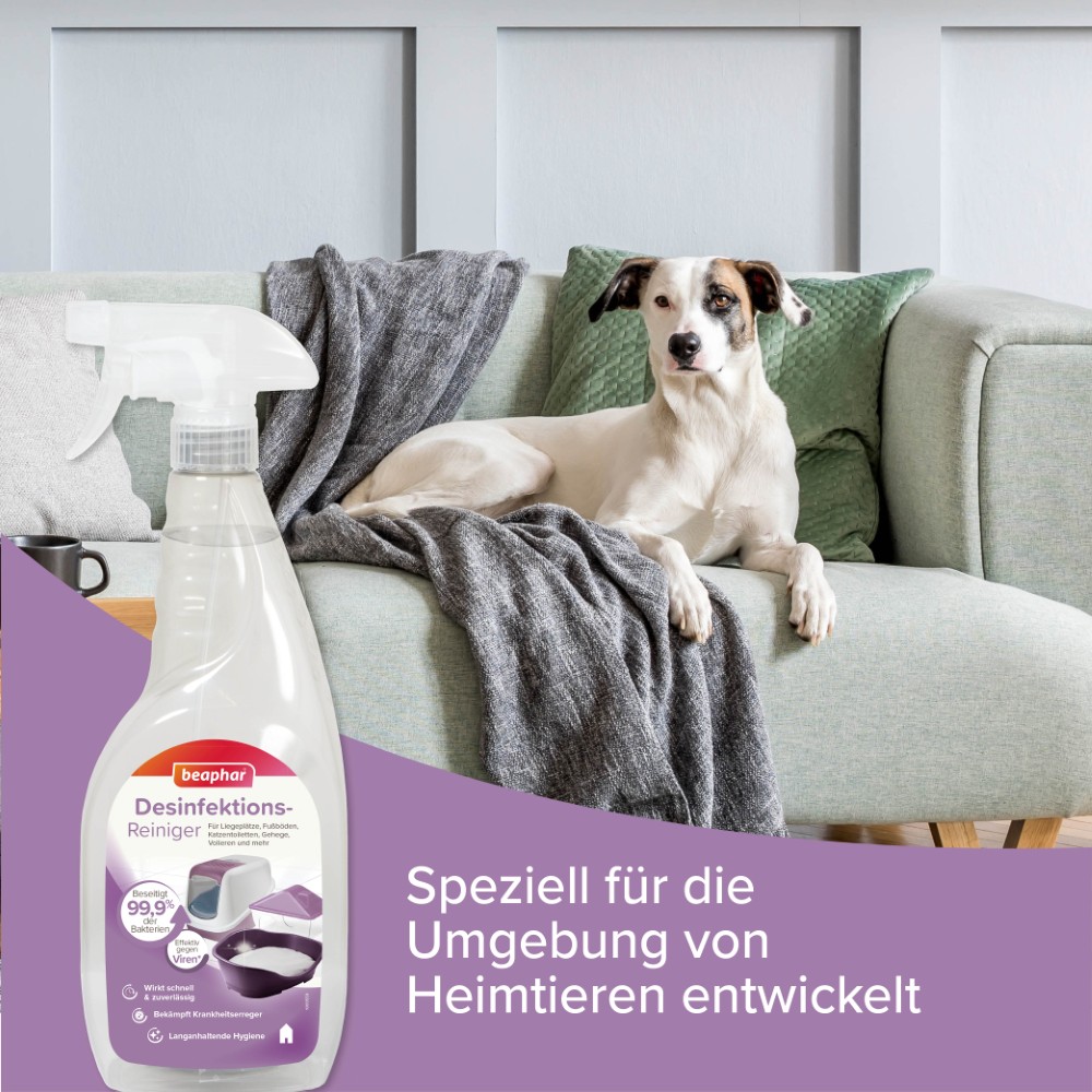 Beaphar Desinfektionsreiniger | Fellpflege und Geruchsneutralisier für Hunde | Zerstäuber 750 ml