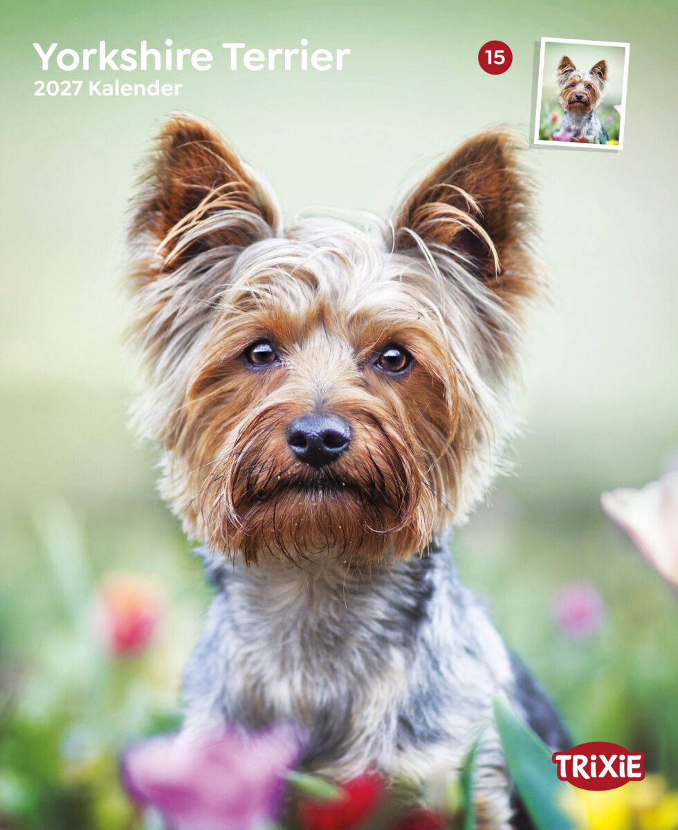 Trixie Motivkalender 2027 | Jahreskalender mit verschiedenen Motive und Themen | Kalender Yorkshire Terrier