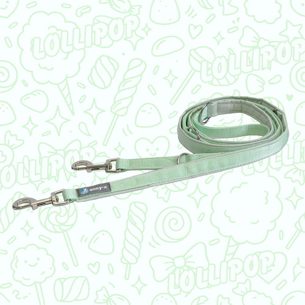 Anny·X Führleine Bolt Fun Lollipop | verstellbare Hundeleine Classic | gepolsterte Leine mit Bolzenkarabiner | Länge 3 m x 2 cm