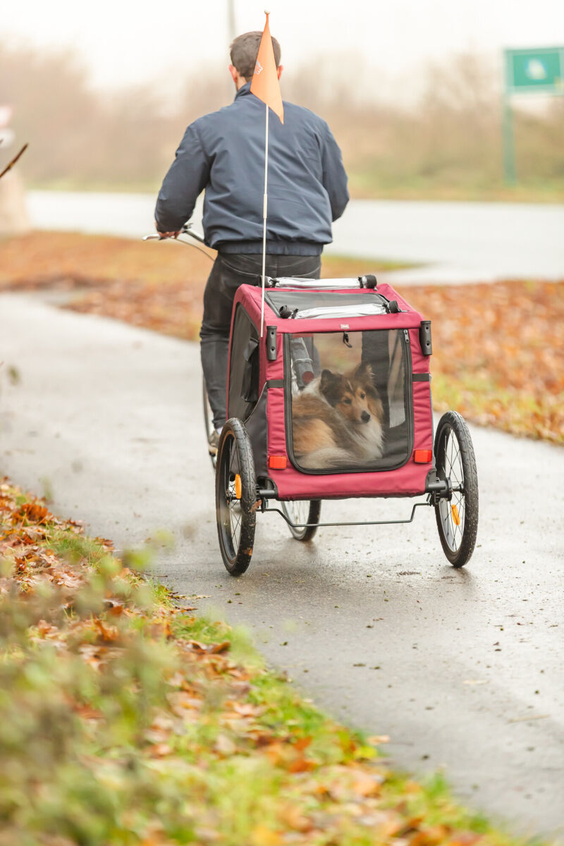 Trixie Fahrrad-Anhänger für Hunde Grau-Rot | Zusammenklappbar inklusive Anhängerkupplung | Größe M - Model 12781