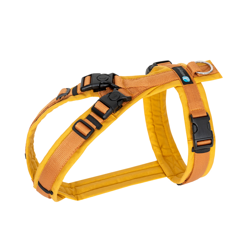 Anny-X Brustgeschirr Open Fun | Hundegeschirr für sensible Hunde | Farbe Goldglöckchen | Gr. S (Brustumfang 52-64cm)