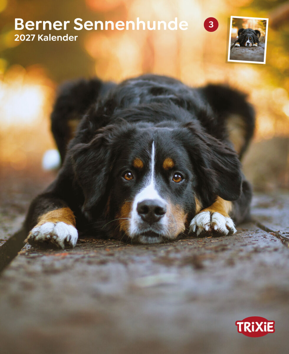 Trixie Motivkalender 2027 | Jahreskalender mit verschiedenen Motive und Themen |  Kalender Berner Sennenhunde
