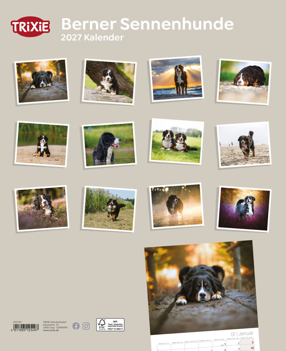 Trixie Motivkalender 2027 | Jahreskalender mit verschiedenen Motive und Themen |  Kalender Berner Sennenhunde