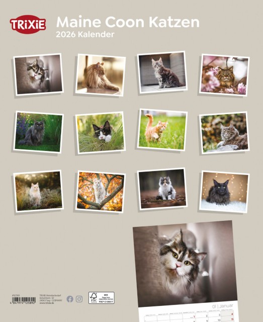 Trixie Motivkalender 2026 | Jahreskalender mit verschiedenen Motive und Themen | Kalender Maine Coon Katzen