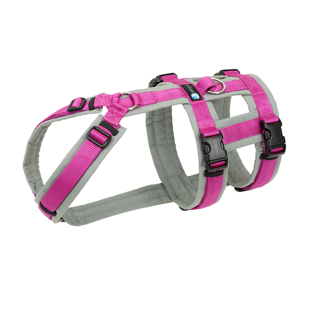 Anny-X Brustgeschirr Safety Fun Grau-Pink | Ausbruchsicheres Hundegeschirr mit Taillengurt | Größe S (Brustumfang 52 - 64 cm)