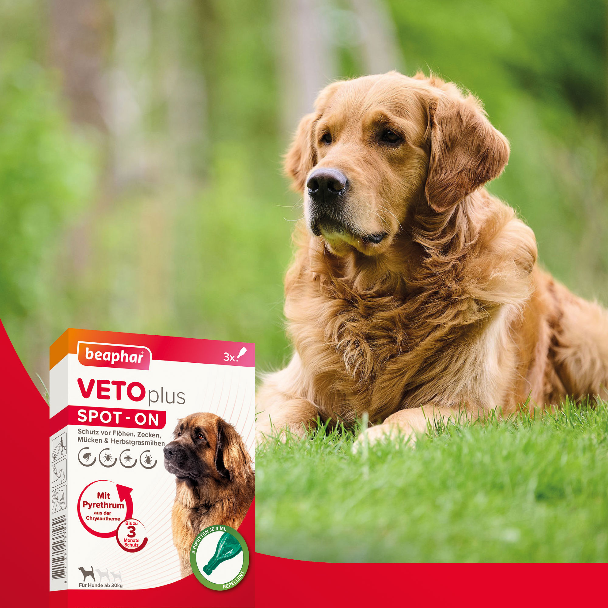 Beaphar VETOplus SPOT-ON | Schutz vor Zecken, Flöhen, Mücken und Herbstgrasmilben | 3 Pipetten je 4 ml | für Hunde ab 30 kg
