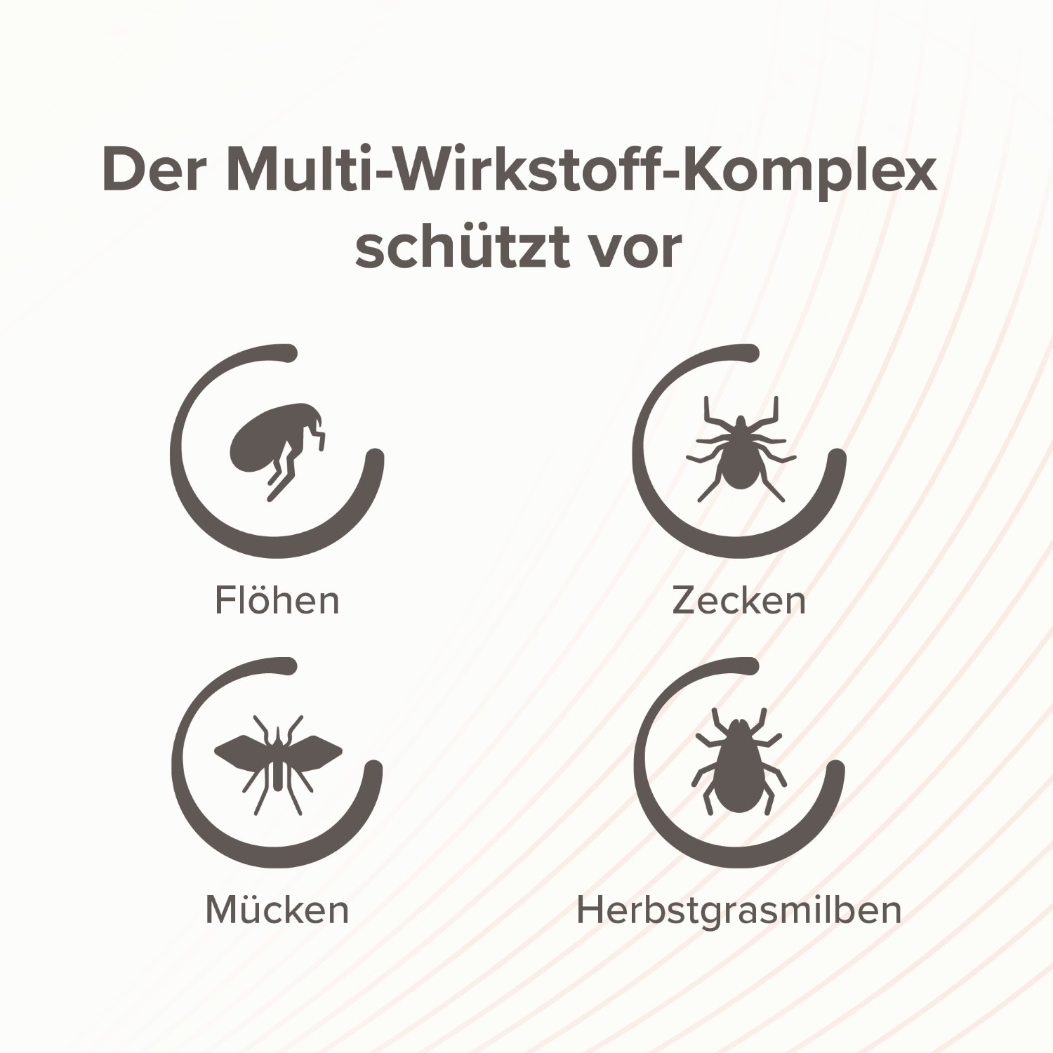 Beaphar VETOplus Zecken- und Flohschutz Spray | Repellent gegen Parasiten in der Heimtierumgebung | Zerstäuber 250 ml