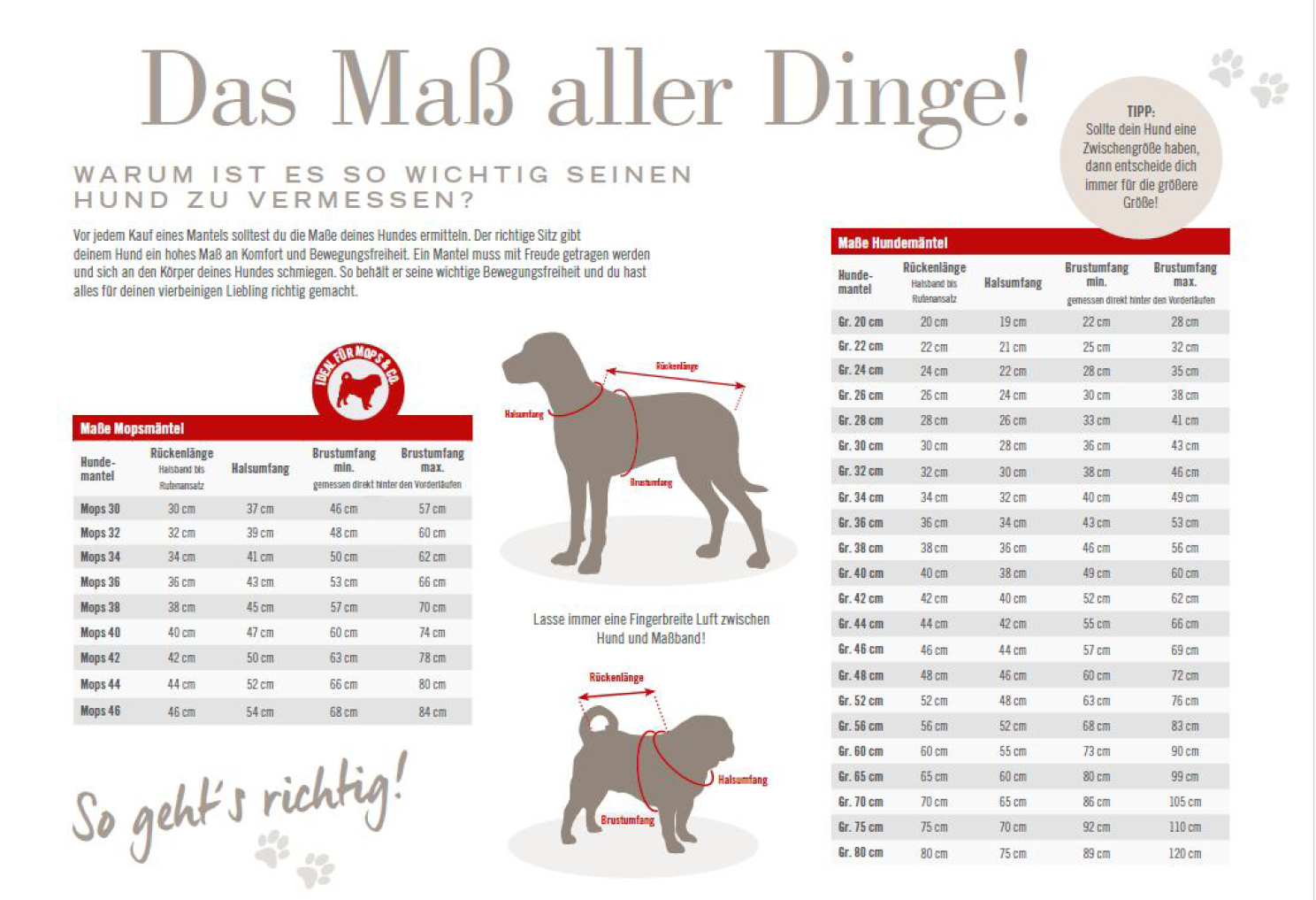 Wolters Wolters Skijacke Dogz-Wear | Wintermantel für Hunde | Farbe Rosa | Größe 28 (Rückenlänge 27 - 29 cm)