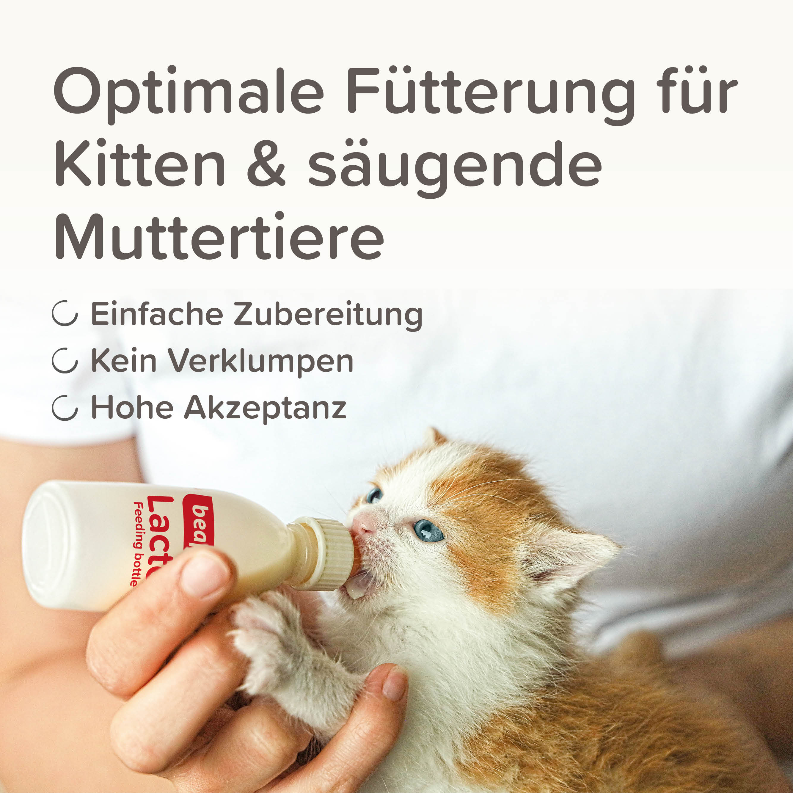 Beaphar Lactol Aufzucht-Milch für Katzen | Vollwertiger Muttermilchersatz mit DHA & Taurin | Milchpulver 250 g