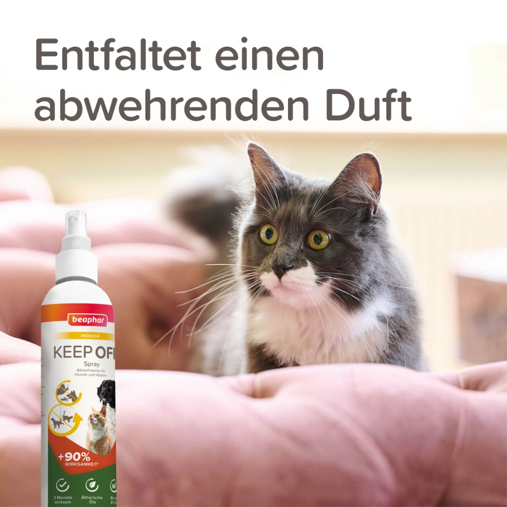 Beaphar Abwehrspray KEEP OFF für Hunde und Katzen | Schutzspray vor Markierungen | Indoor Pumpspray 200ml