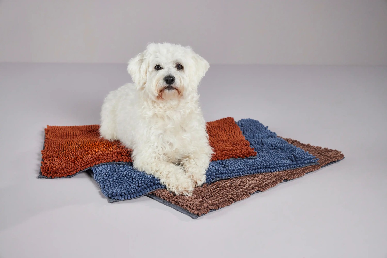 WOLTERS Cleankeeper Doormat | Einzigartige Schmutzschleuse für Hunde | Farbe Hellgrau - Grösse S (58 x 40 cm)