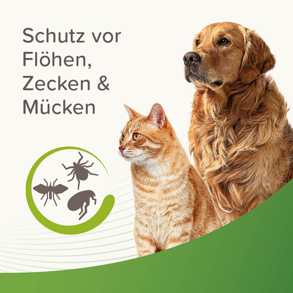 Beaphar Zecken- und Flohschutz Spray | Repellent gegen Parasiten in der Heimtierumgebung | Zerstäuber 500 ml