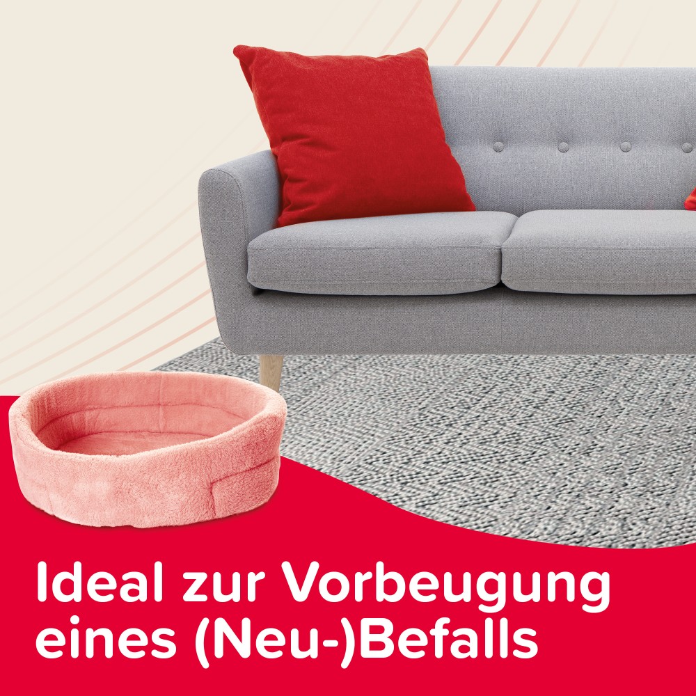 Beaphar VETOplus Parasiten-Fogger 200 ml | Floh- & Bettwanzenbekämpfung für Zuhause | 1 * 200 ml Dose