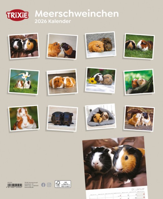 Trixie Motivkalender 2026 | Jahreskalender mit verschiedenen Motive und Themen | Kalender Meerschweinchen