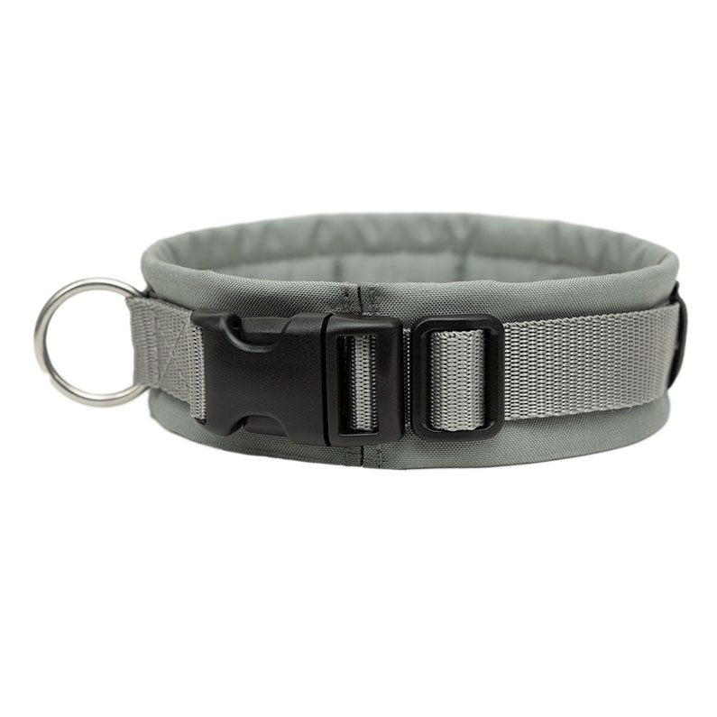Anny·X Steckhalsband Fun Grau-Silber | Gepolstertes Hundehalsband | Größe 3 (32-38 cm)