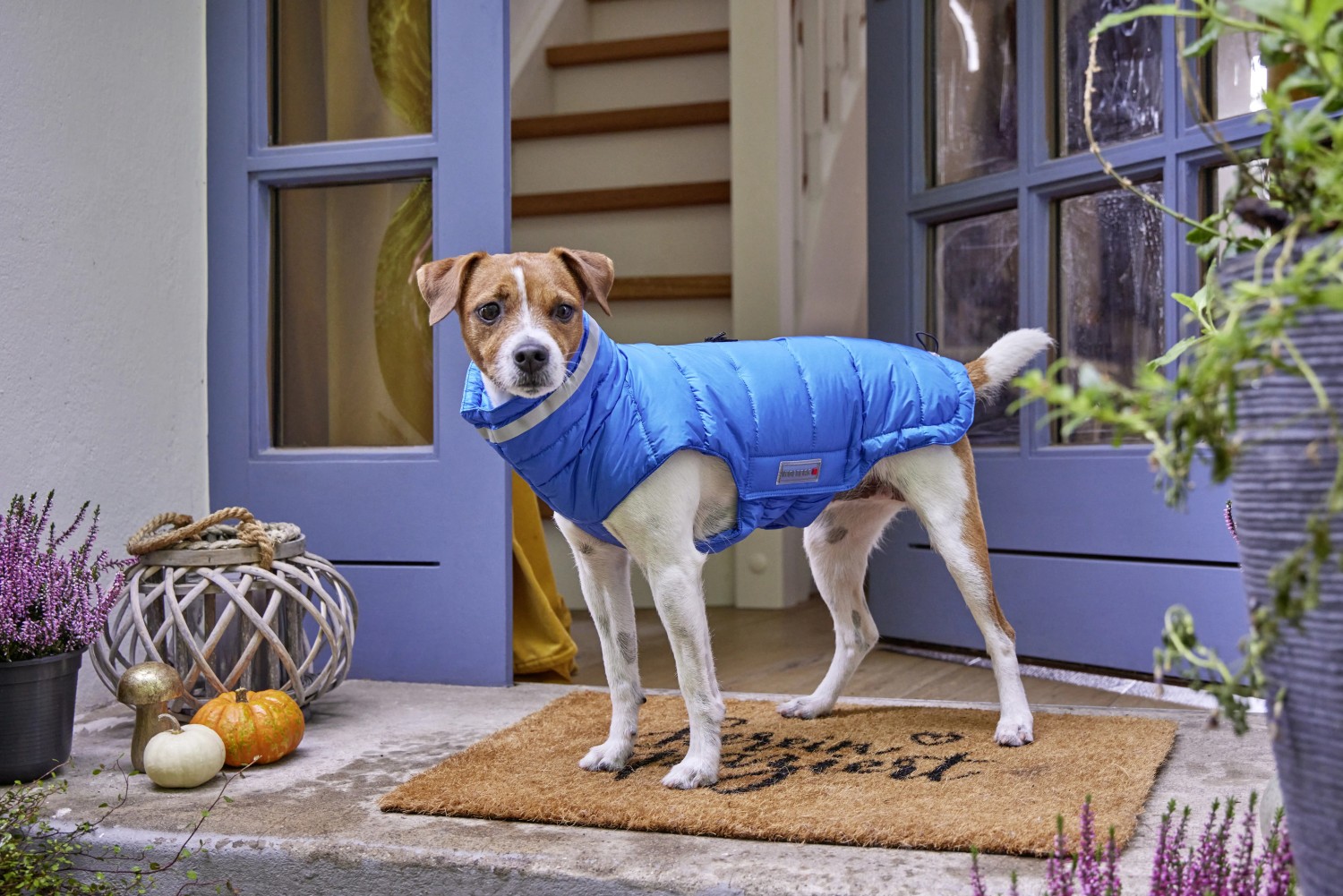 Wolters Steppjacke Cosy Rostrot | Wintermantel für Hunde schützt vor Wind & Kälte | Größe 26 (25 - 27 cm)