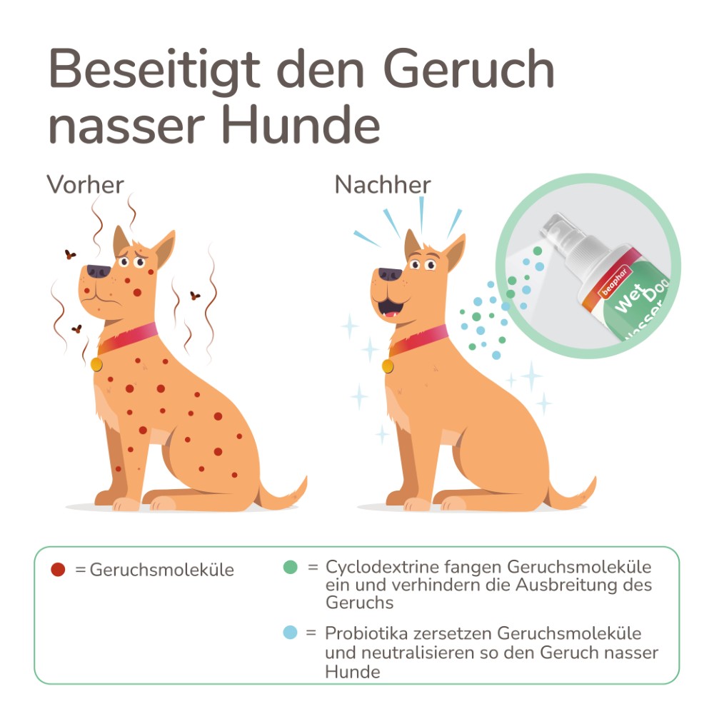 Beaphar Nasser Hund Spray | Fellpflege und Geruchsneutralisier für Hunde | Zerstäuber 250 ml