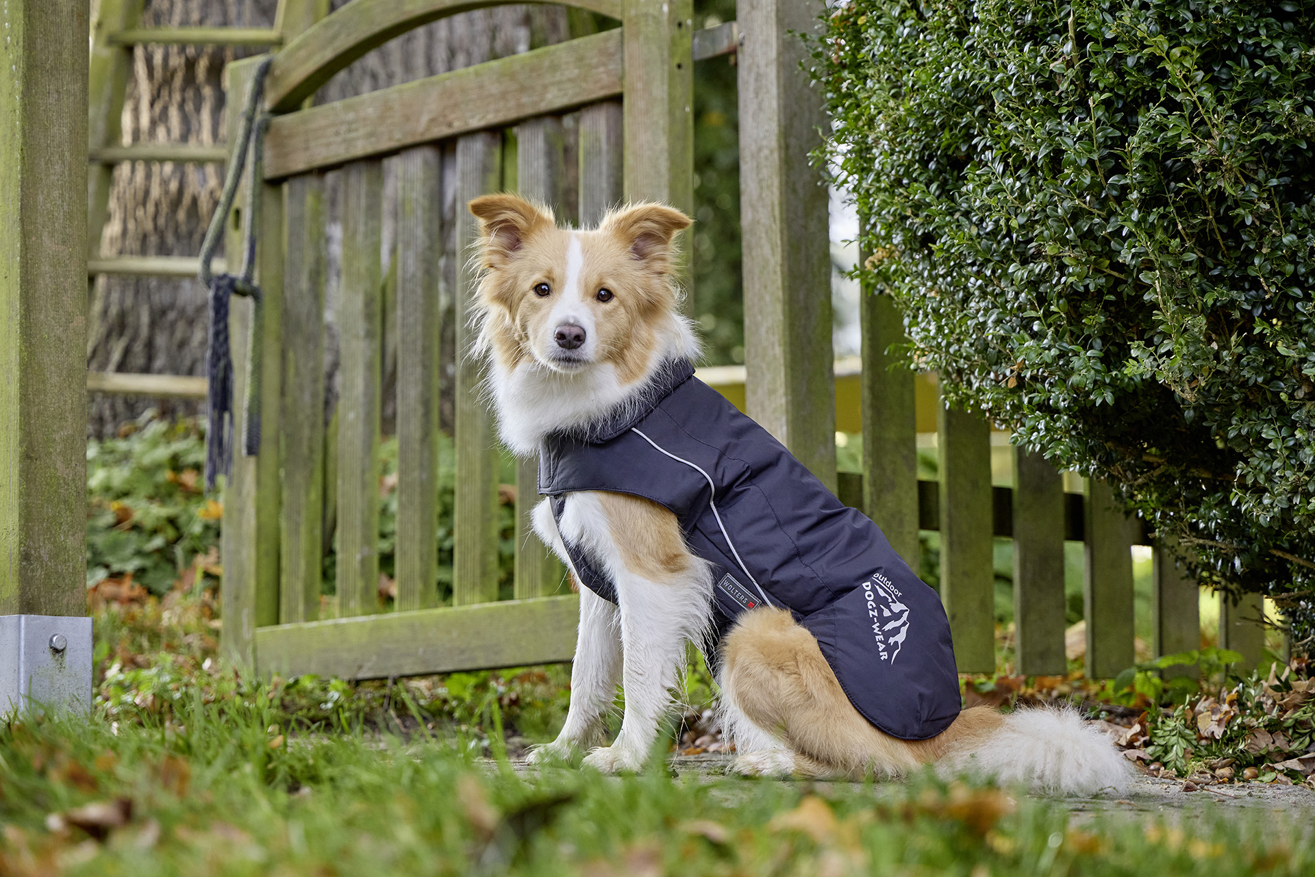 Wolters Wolters Skijacke Dogz-Wear | Wintermantel für Hunde | Farbe Schwarz | Größe 28 (Rückenlänge 27 - 29 cm)