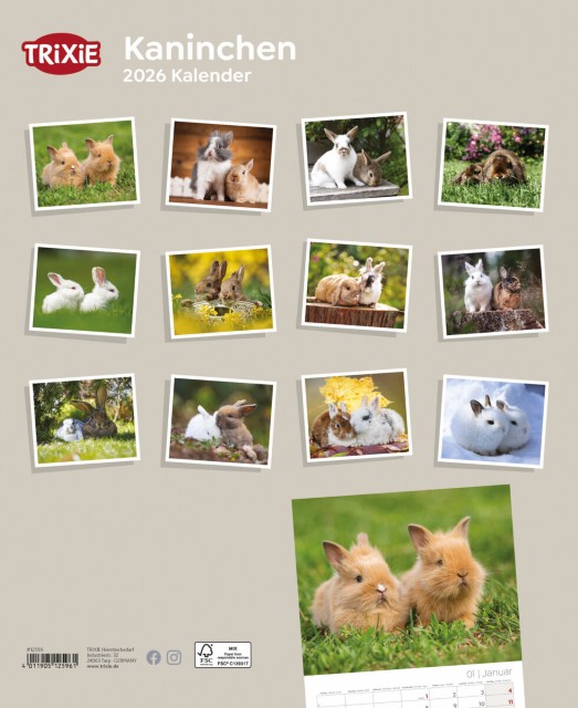 Trixie Motivkalender 2026 | Jahreskalender mit verschiedenen Motive und Themen | Kalender Kaninchen
