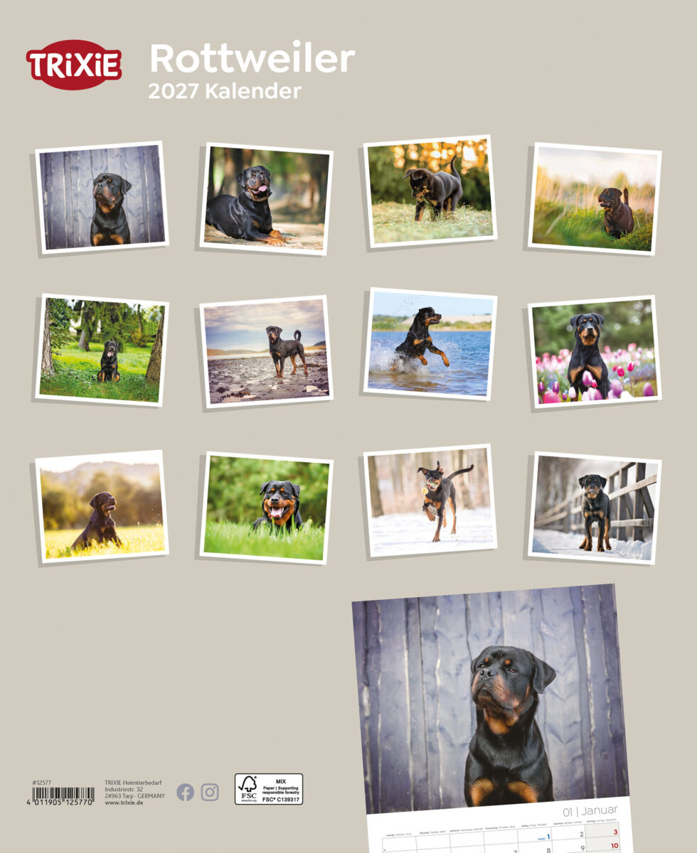 Trixie Motivkalender 2027 | Jahreskalender mit verschiedenen Motive und Themen | Kalender Rottweiler