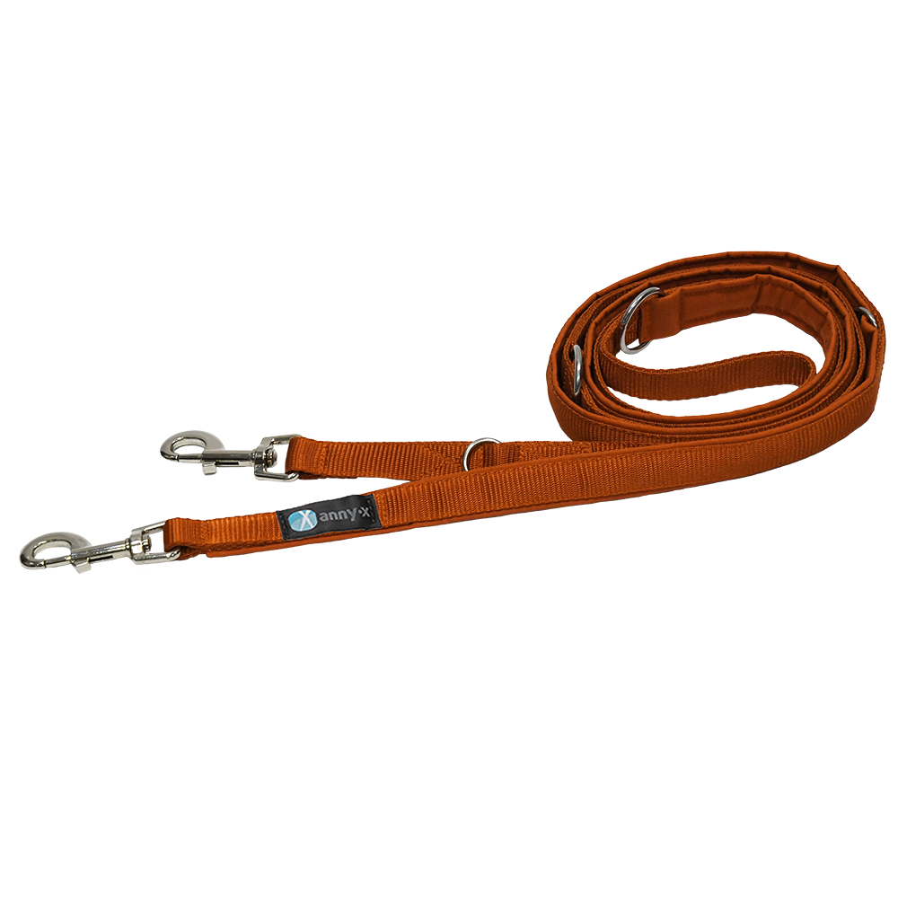 Anny·X Führleine Bolt Fun | verstellbare Hundeleine | gepolsterte Leine mit Bolzenkarabiner | Größe Classic- Farbe Ahorn
